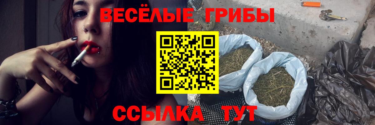 Псилоцибиновые грибы мицелий  Галлюциногенные грибы мицелий  Острогожск  Вход с VPN 